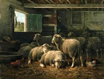 Sheep 098, unknow artist